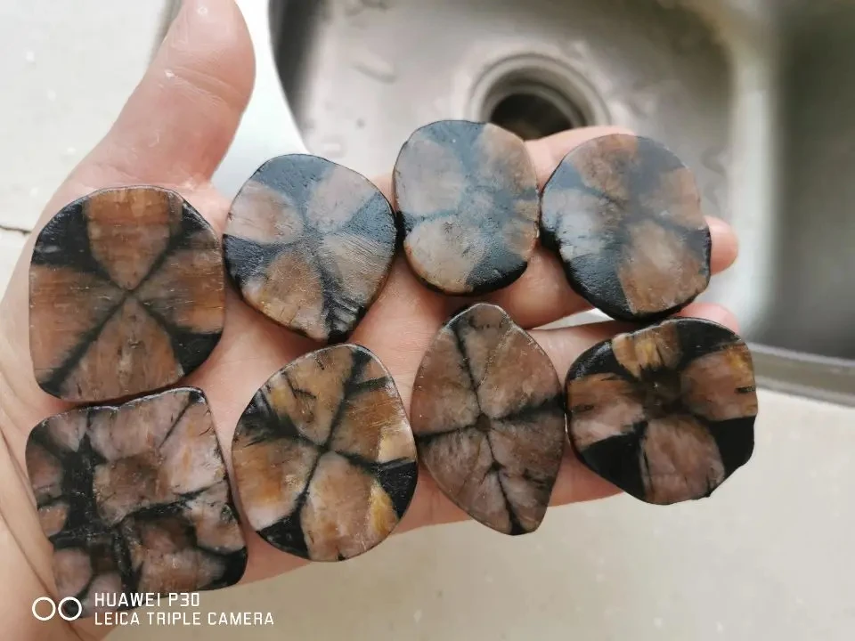Chiastolite Cross Stones 1pc Bundle  Natural Crystal Semi Polished 1