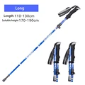 2Pcs Long Blue