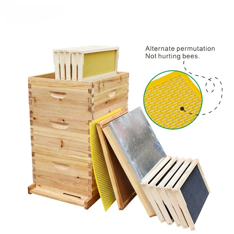 

Wax Coated Langstroth Beehive Complete Hives Kit Beekeeping Equipment Wooden Honey Bee Hive Box For Bees