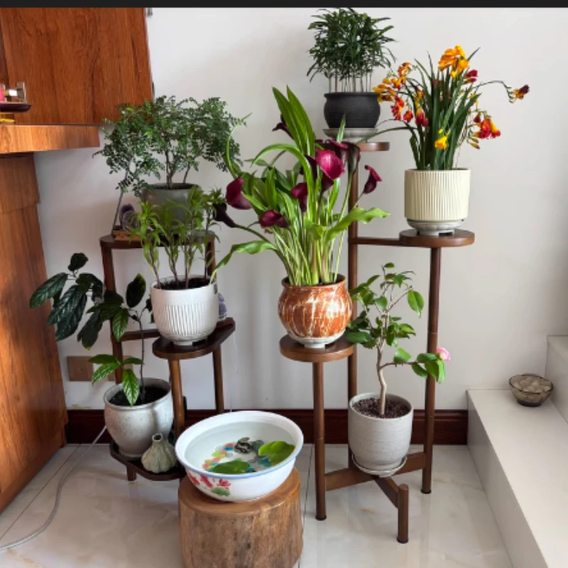 

Solid Wood Indoor Plant Stand, Display Shelf Rack, Multi-Tier, TV Side, Balcony Corner, Living Room, Flower Pot Organizer