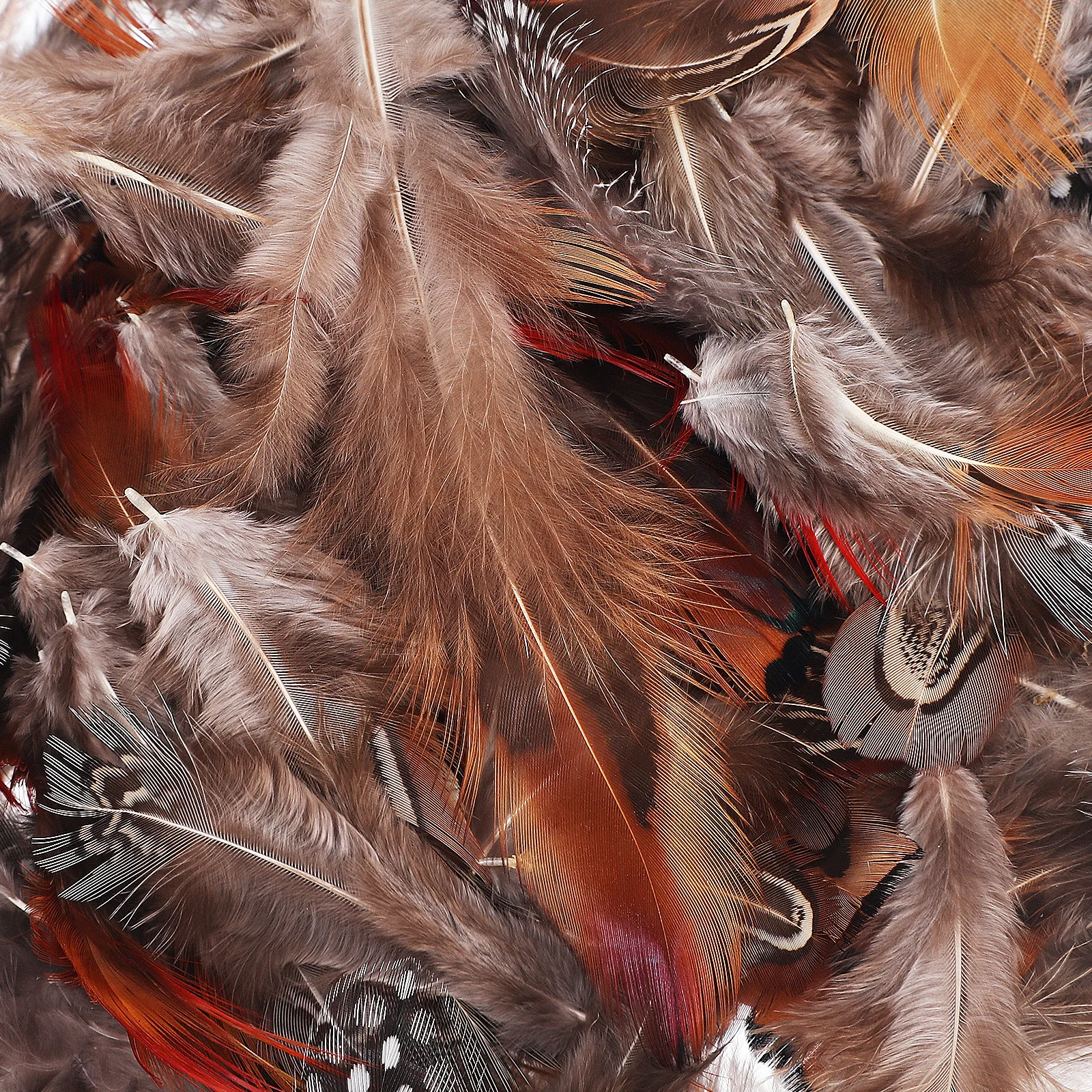 

300pcs Mix Color Natural Diy Plumes For Craft Projects Wedding Party Home Decor Clothes Vase Arrangement Dreamcatcher