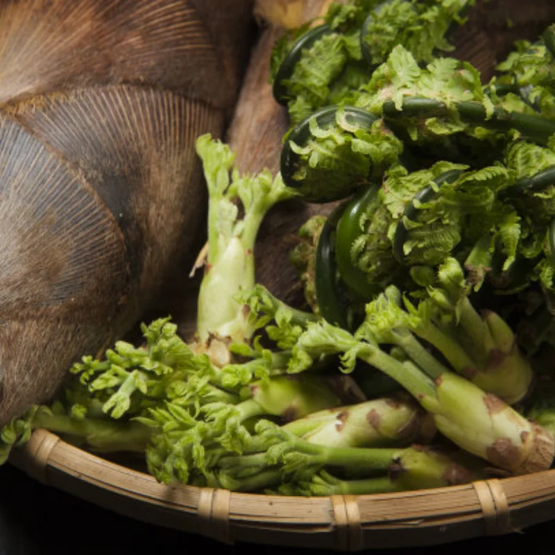 

Алюминиевый сервопривод рулевого управления 25 т для Trxs Trx4 Axial Scx10 Tamiya 1/10 1/8 Rc Crawler Truck Futaba Savox Emax Hsp Серводвигатели