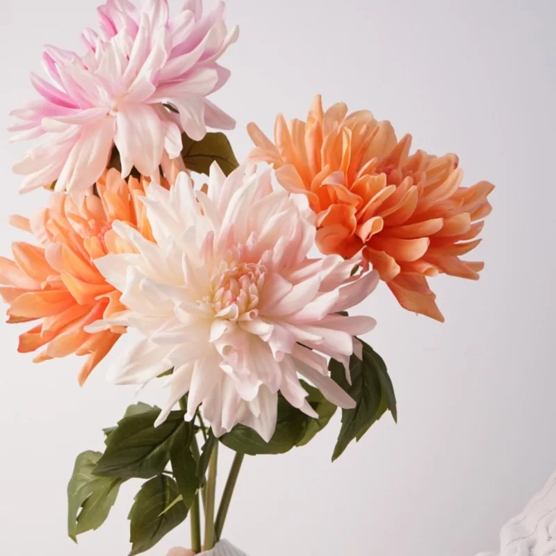 3Pc Moisturizing Da…