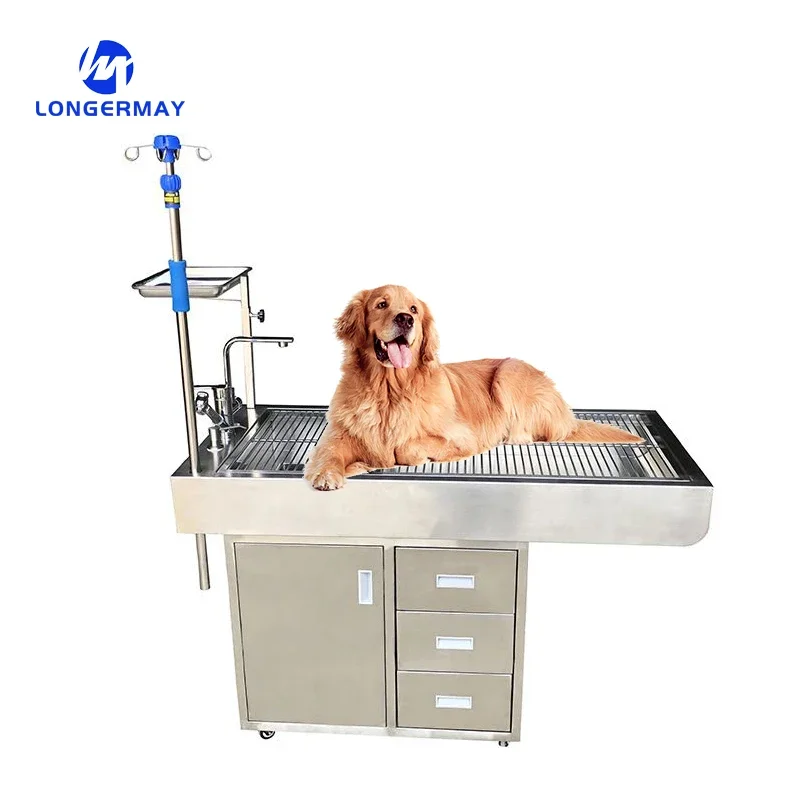 

Instrumental Veterinary Dissecting Table