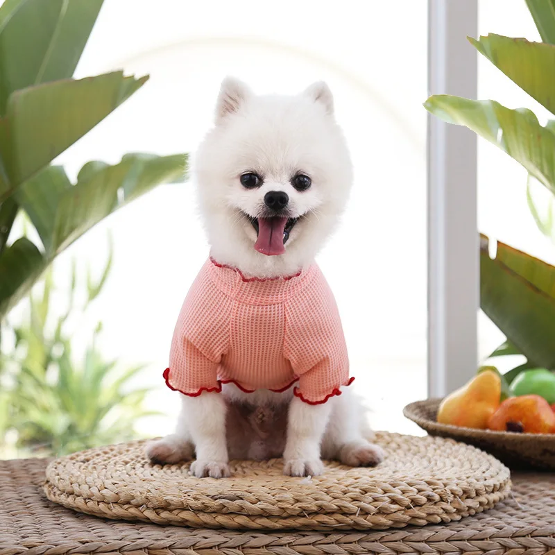 곰팡이 컬링 보텀 셔츠, 봄 여름 및 가을 용품, 두 다리 의류, 테디 비숑 과일 개 고양이 애완 동물 의류, 신제품