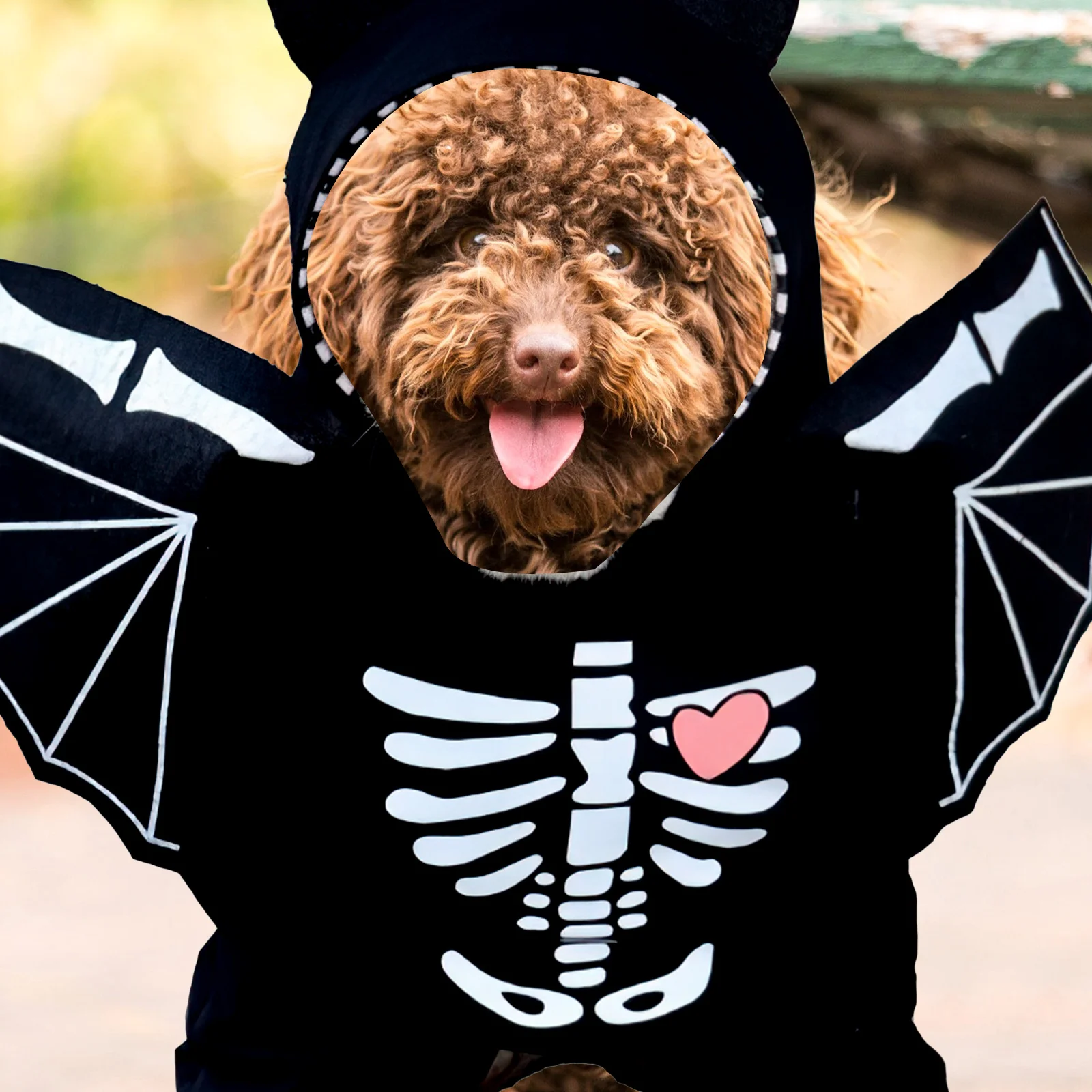 

Bat Transformation Costume for Dogs Cats Halloween Party Outfit Stylish Comfortable Wear-Resistant Pet Cosplay Clothing