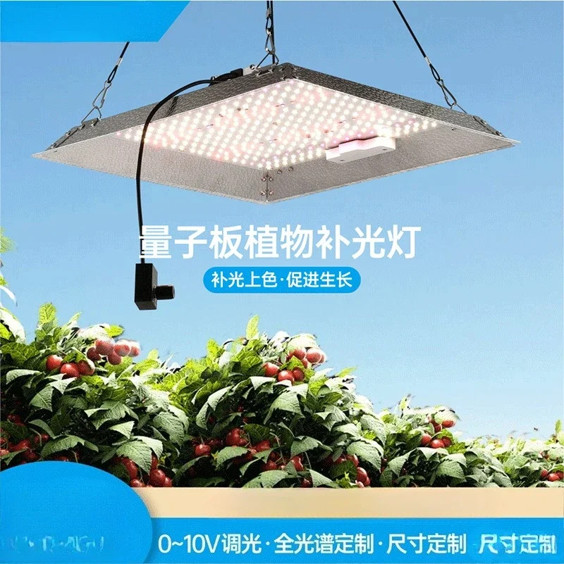 

LED Plant Growth 100W Dimmable Plant Fill Lighting Tool