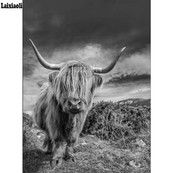 Scottish highland cow Diamond Embroidery diy 5d diamond painting Full square round Cross Stitch,Mosaic rhinestone pictures,decor