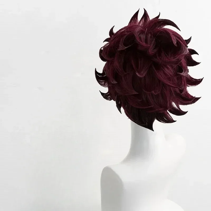 Peluca de Cosplay de Anime Kimetsu no Yaiba Tanjiro Kamado, pelo corto marrón castaño resistente al calor, pelucas o pendientes para Halloween