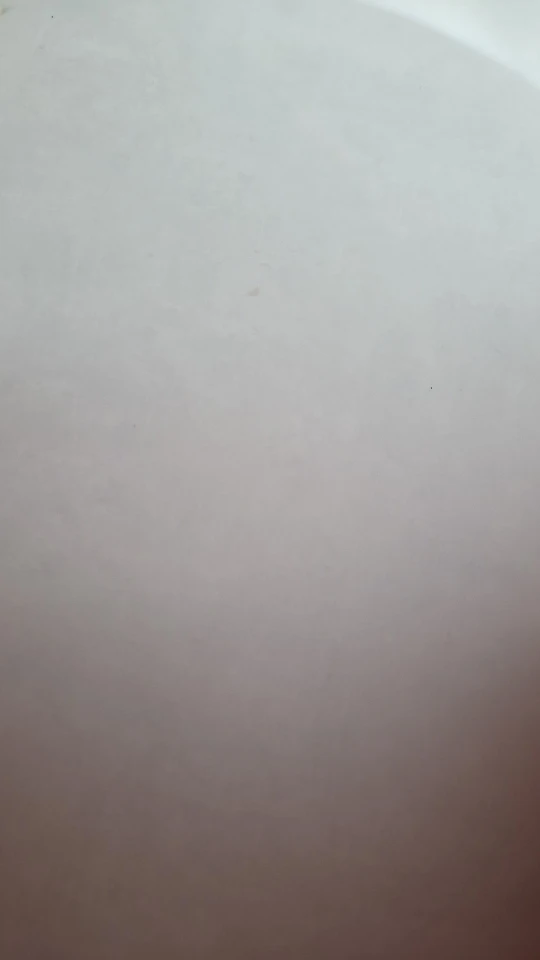 실물 포토 리뷰