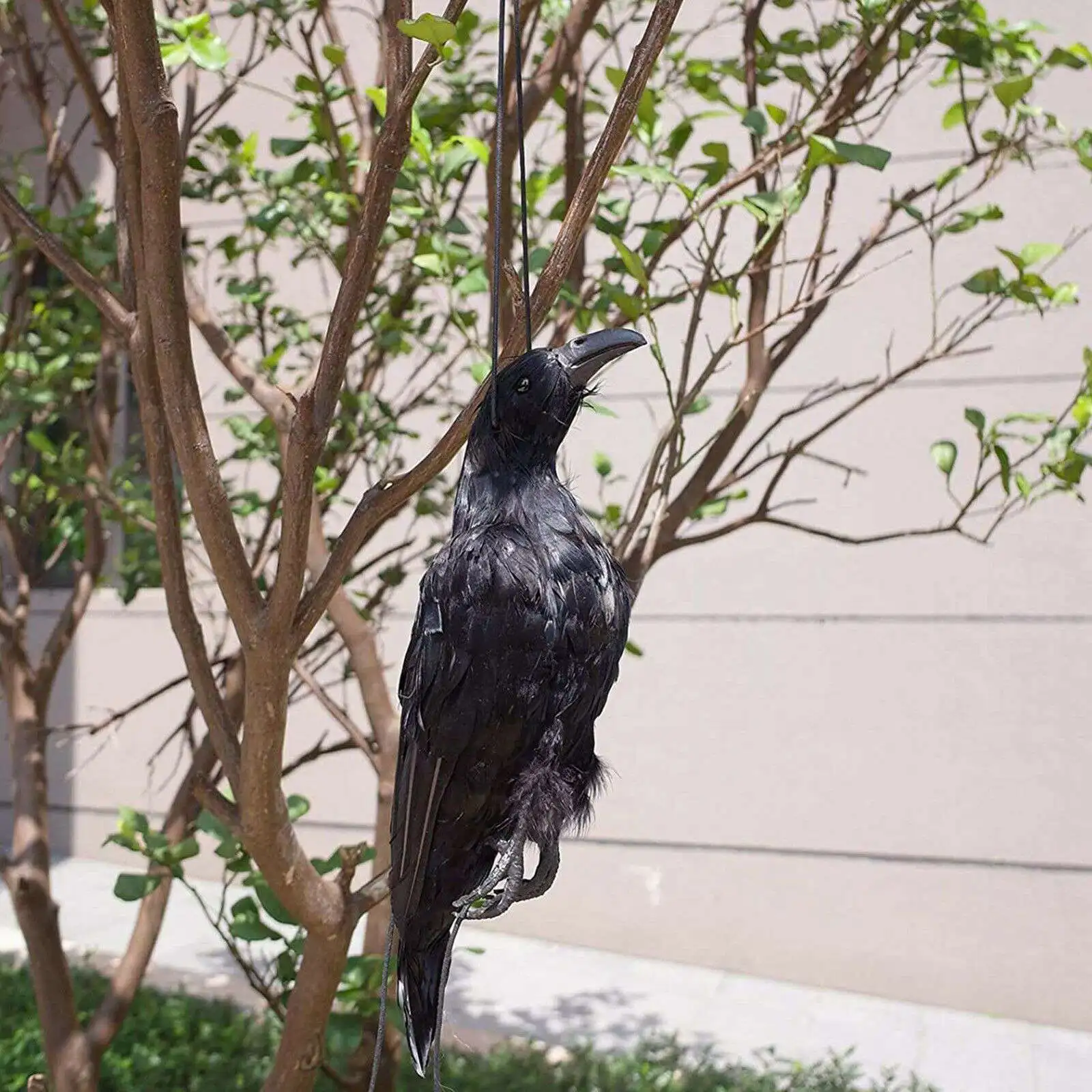 Realistic Hanging Dead Crow Decoy Lifesize Extra Large Black Feathered Crow