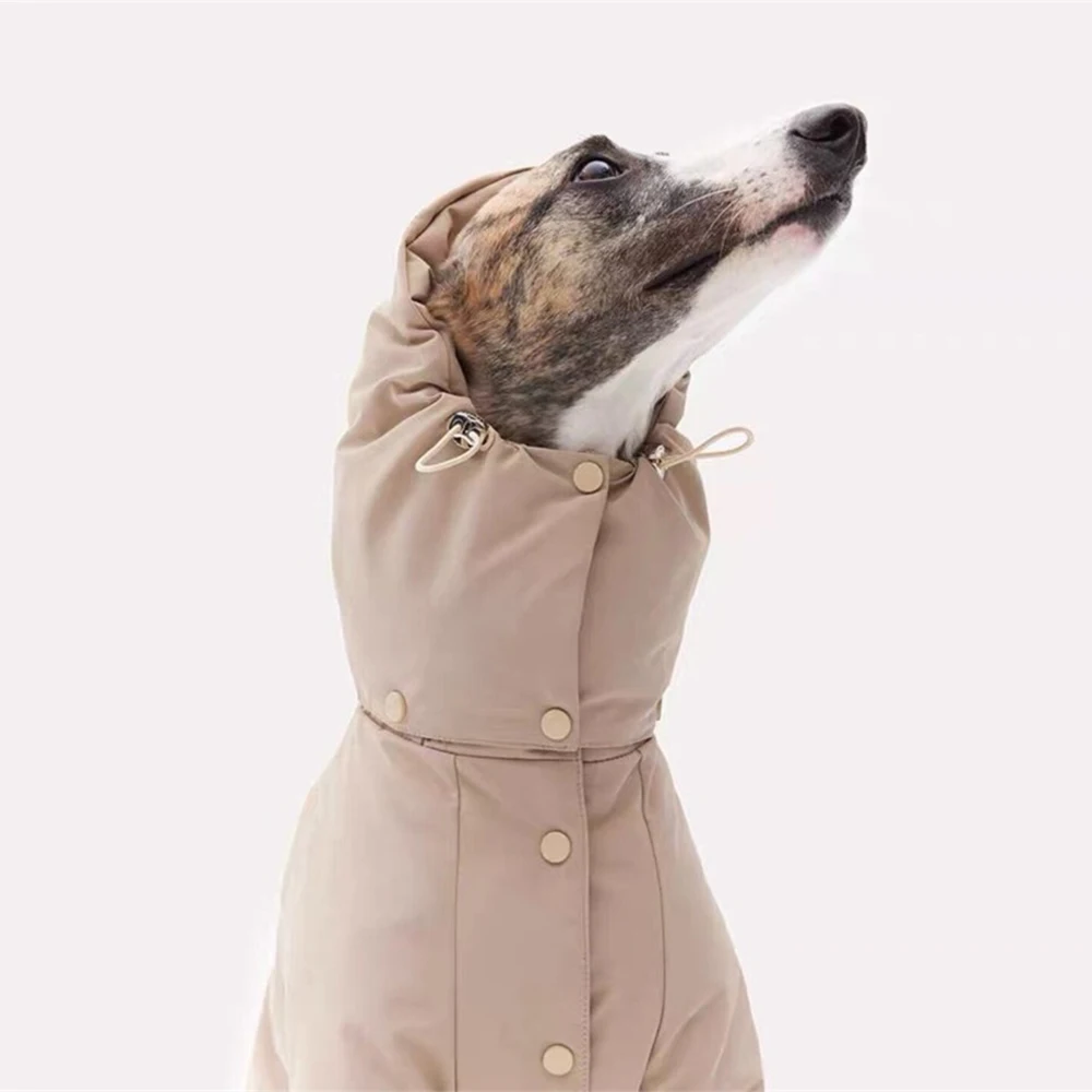 Pet Supplies Custom New Designer Winter Down Coat Italian Greyhound Whippet Clothing Dog Jumper Comfortable Clothes For Dog