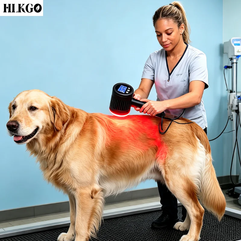 Advanced 5W 25 Diodes 650nm 808nm Class IV Cold Laser Therapy for Chronic Pain Joint Muscle Healing Home Use