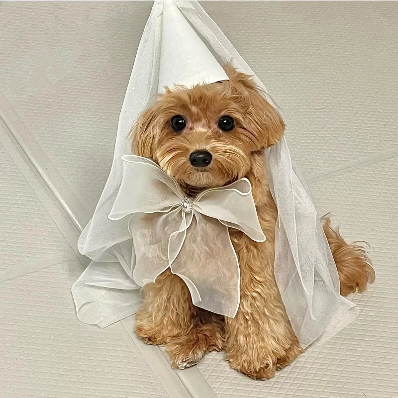 Birthday Party Dog Accessories Hat Jewelry Pet Wedding Hat Bow Saliva Towel Teddy Triangle Scarf Bow Pocket Bib Scarf Pomenian