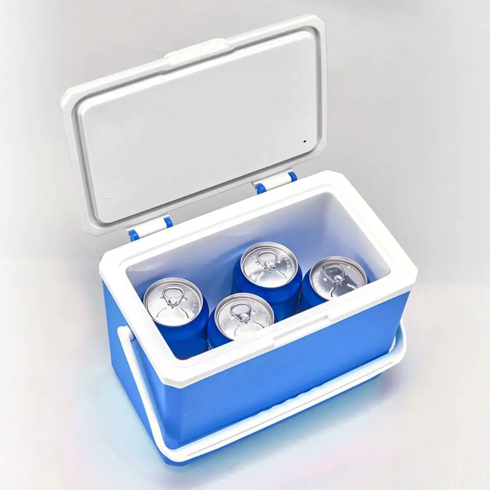 Mini Car Fridge 3l Portable Camping Refrigerator Capacity Food Preservation Box for Car Ice Bucket for Outdoor for Camping