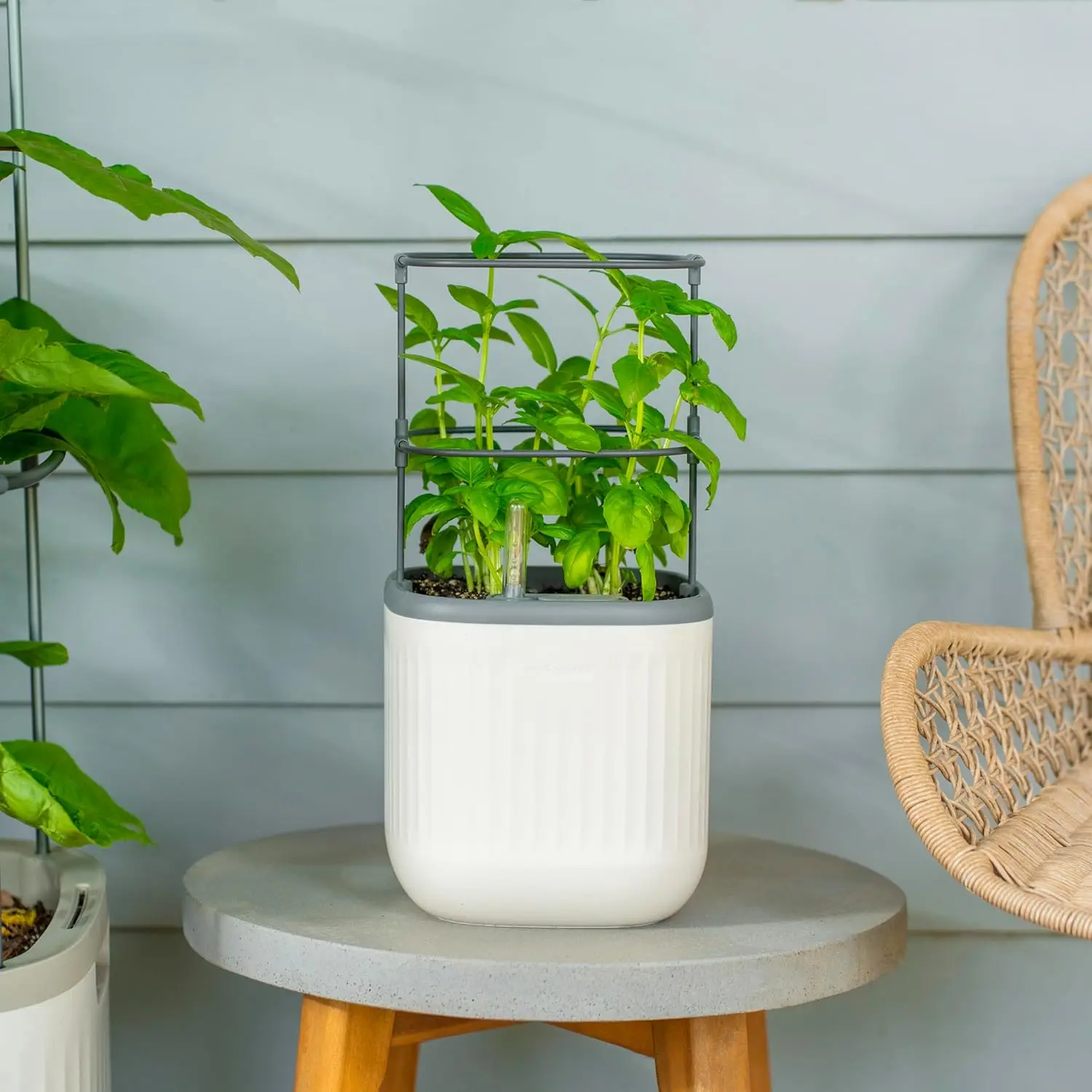 Mini Maceta con Soporte, Macetas de Interior con Autorriego para Plantas Trepadoras, Flores, Hierbas como la Menta - Color Blanco Crema