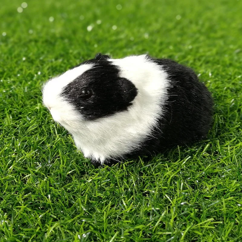 Simulazione Mouse Studente Simulazione dinamica cognitiva Simulazione Animale Cavia Maiale olandese Criceto Maiale d'India Girasole Mouse