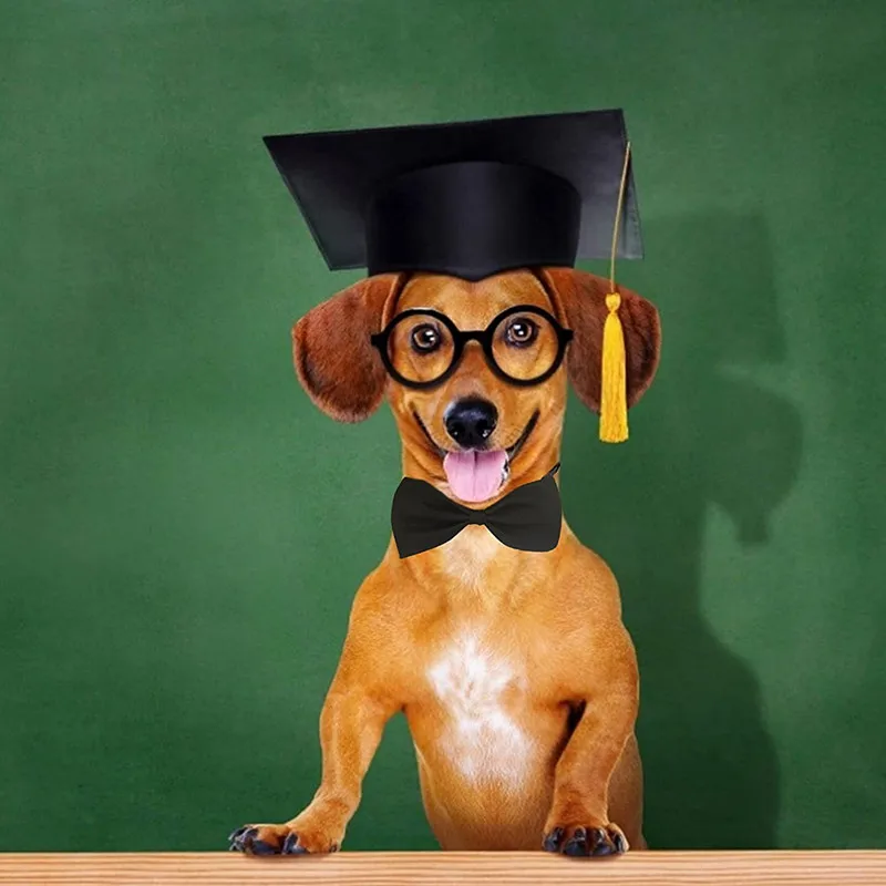 Dog Graduation Cap Funny Pet Grad Costume for Small Medium Large Dogs Puppy Dog Cap Doctor Hat Cat Graduation Apparel Accessory