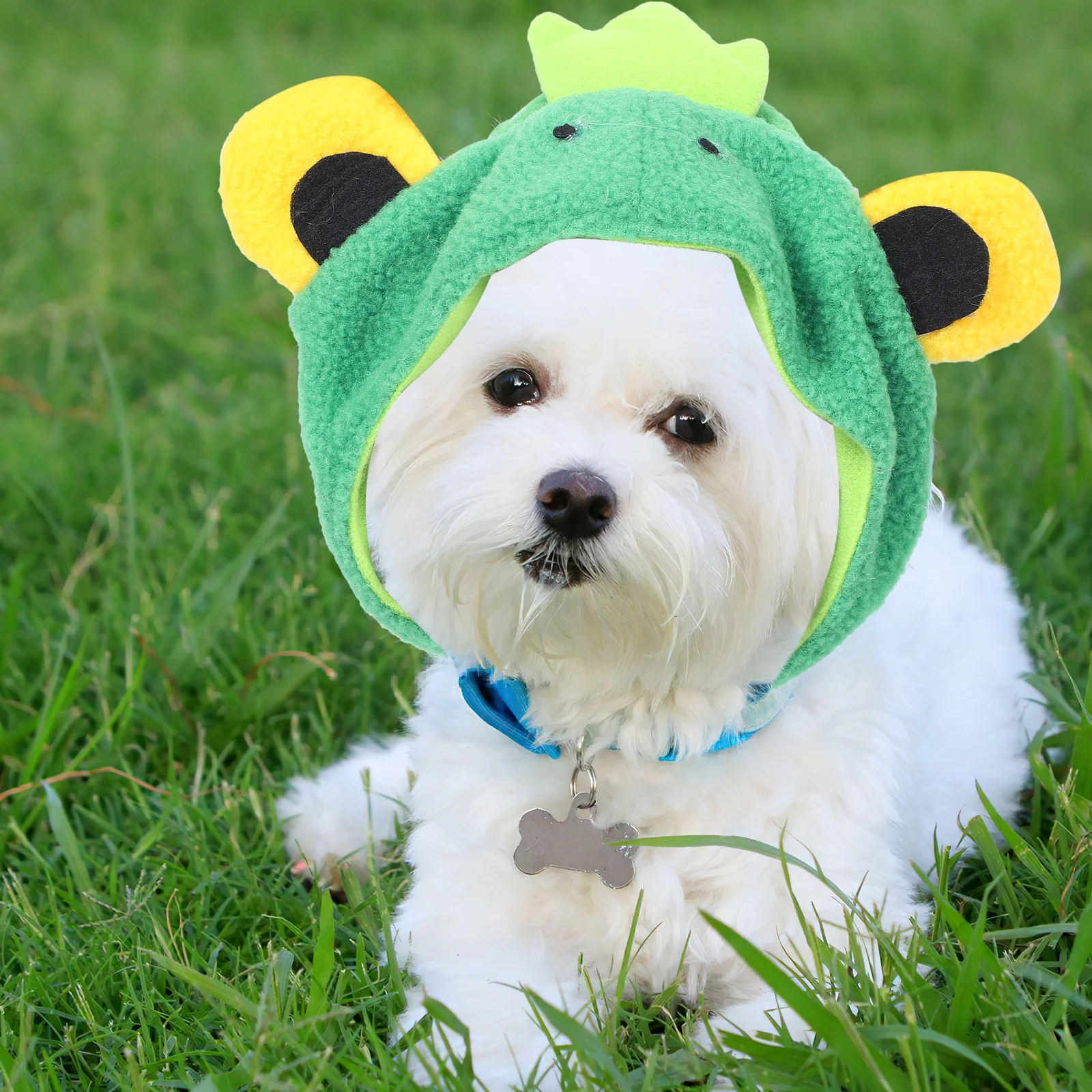 

Frog Hat For Dogs Cats Cartoon Animal Cap Pet Costume Cosplay Party Supply Festival Puppy Kitten Accessory Pet Headwear