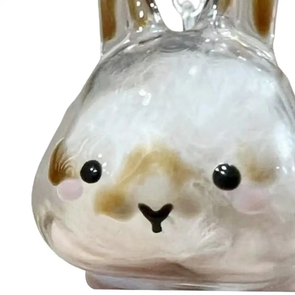 Transparent Pet Keychain 4pcs Rabbit Hair Keychain Pendant Transparent Capsule Keepsake Bottle Pet Hair Storage Accessory Gift