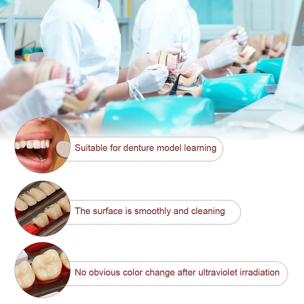 Gigi sintetis Resin sintetis gigi palsu, bahan Dental gigi tiruan perlengkapan dokter gigi untuk membuat Model pembelajaran gigi tiruan