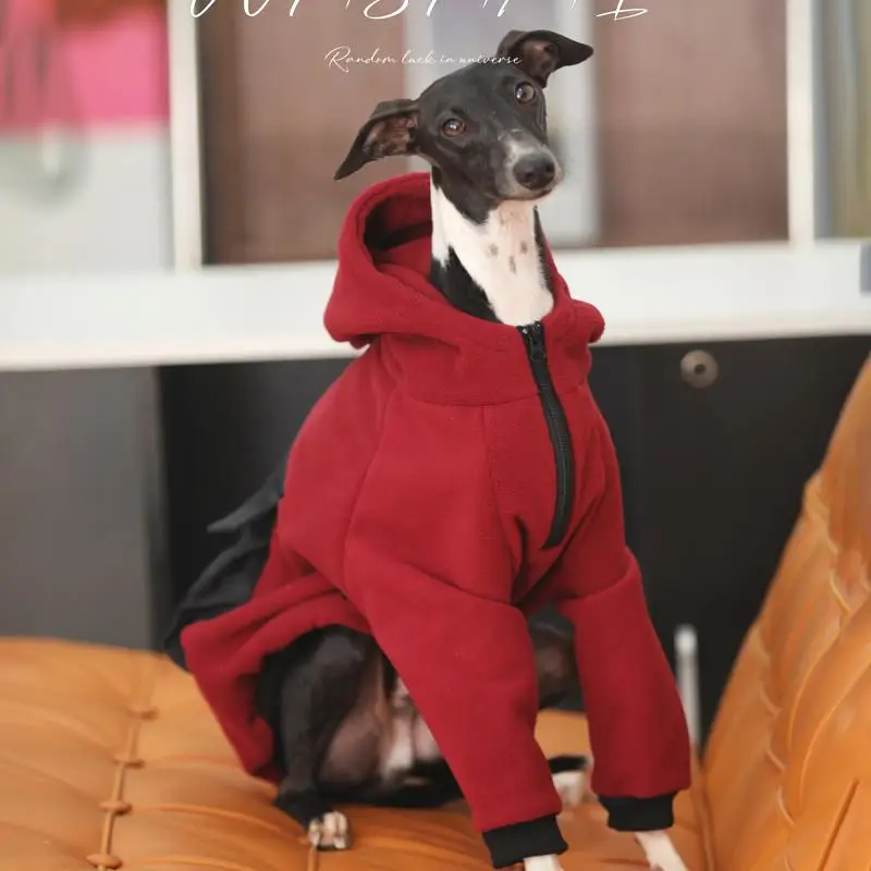 

Fashion Hooded Whippet Italian Greyhound Clothing with Zipper Warm Dog Sweatshirt Italian Iggy Coat Whippet Clothing in Winter