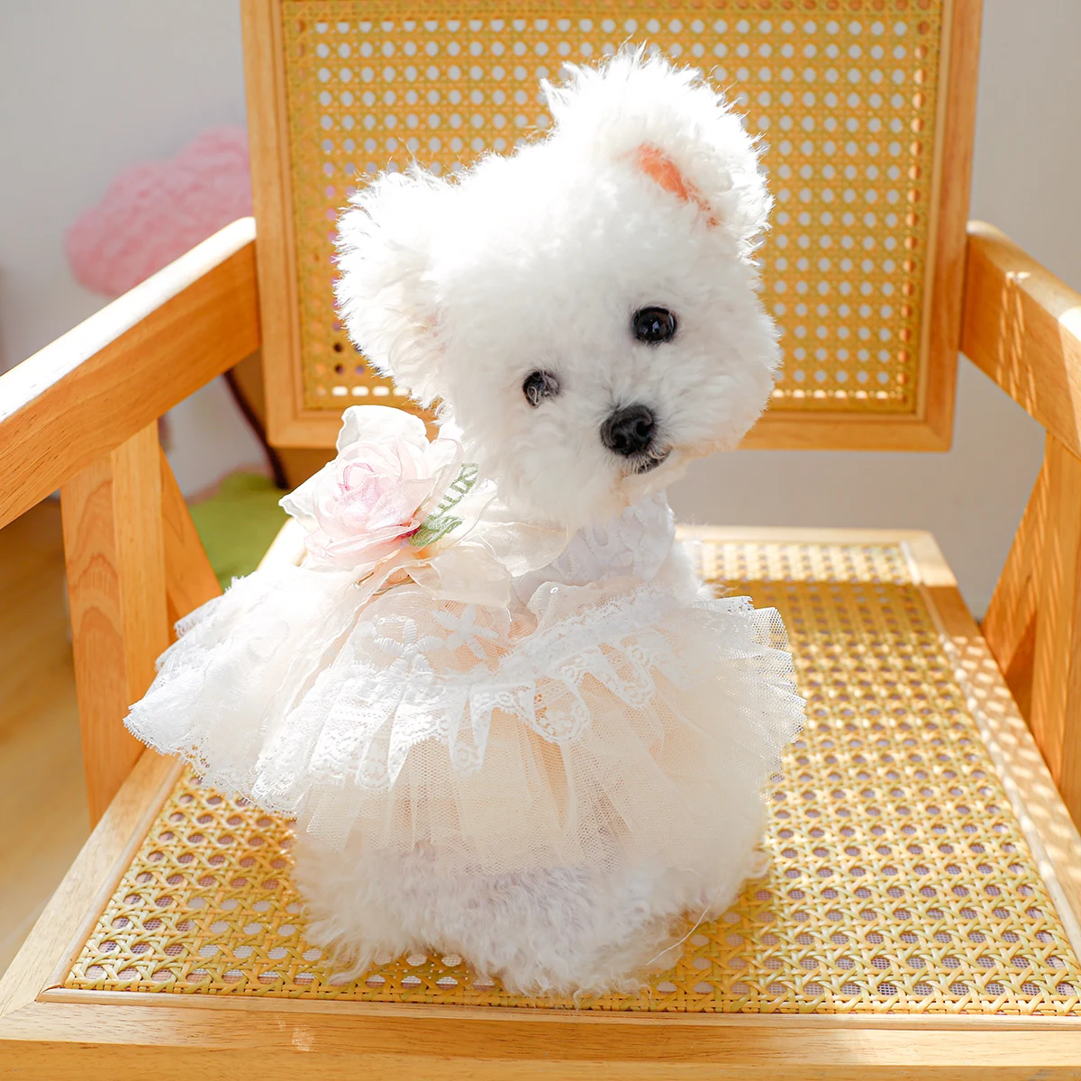 1PC Pet Clothing Cat Spring/Summer Thin White Retro Flower Dress Princess Wedding Dress Suitable for Small and Medium Dogs