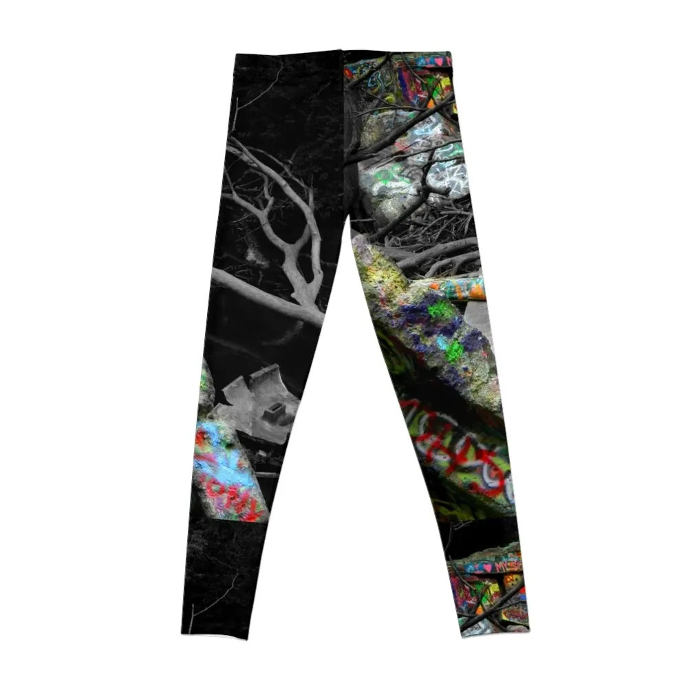 Painted Rocks Leggings gym womans gym's sportswear Womens Leggings