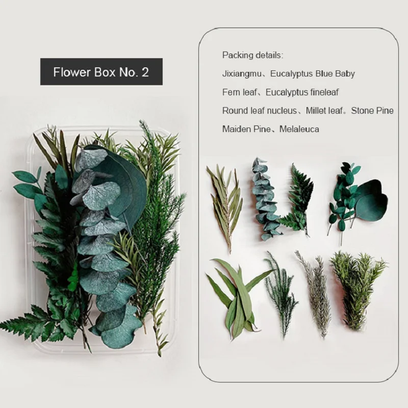 1 Box Natural Real Dry Flower Plants DIY Epoxy Resin Frame Fan Embossing Materials Aromatherapy Candle Making Home Decoration