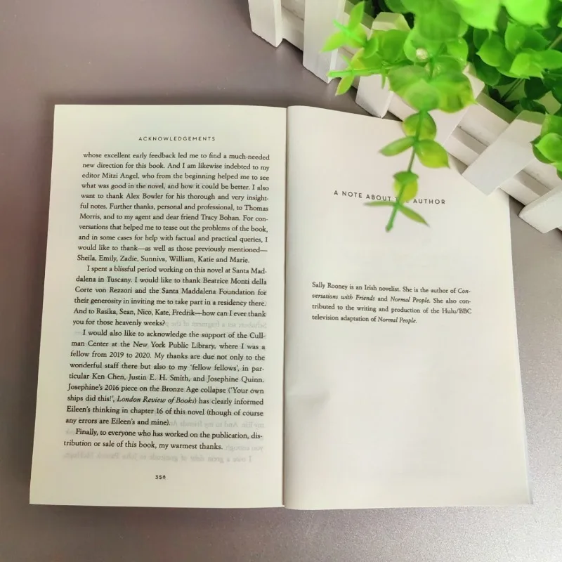 Bellissimo mondo dove sei di Sally Rooney Romanzo inglese