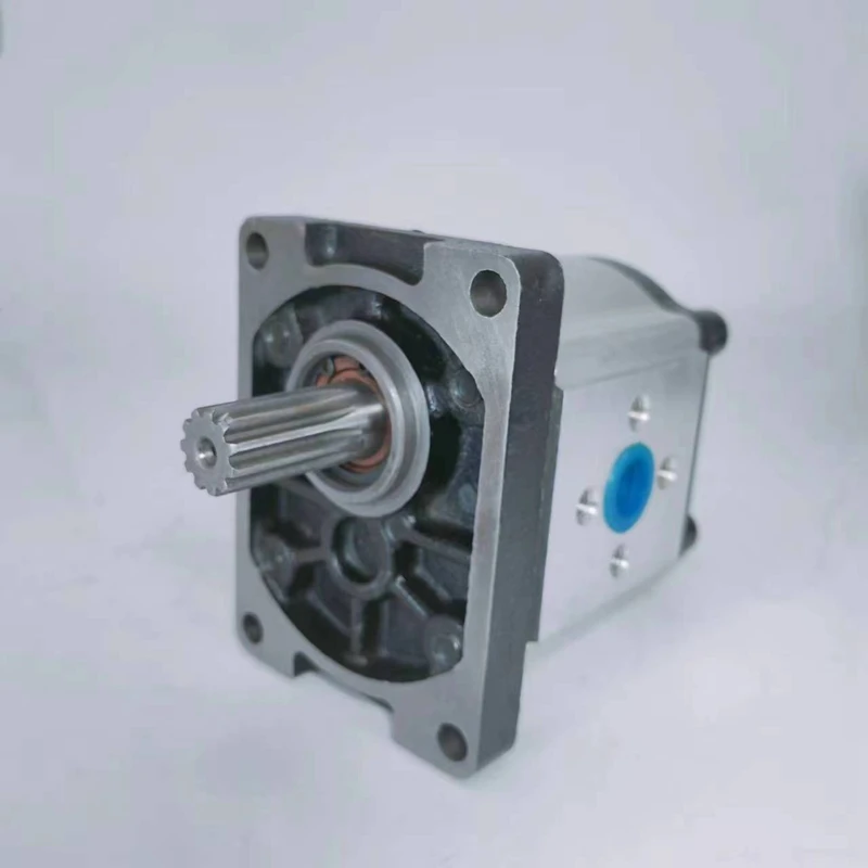 Runding Hydraulic Gear Pump CBN-G304/G306/G310/G314 /G316/G320/G325 Oil Pump