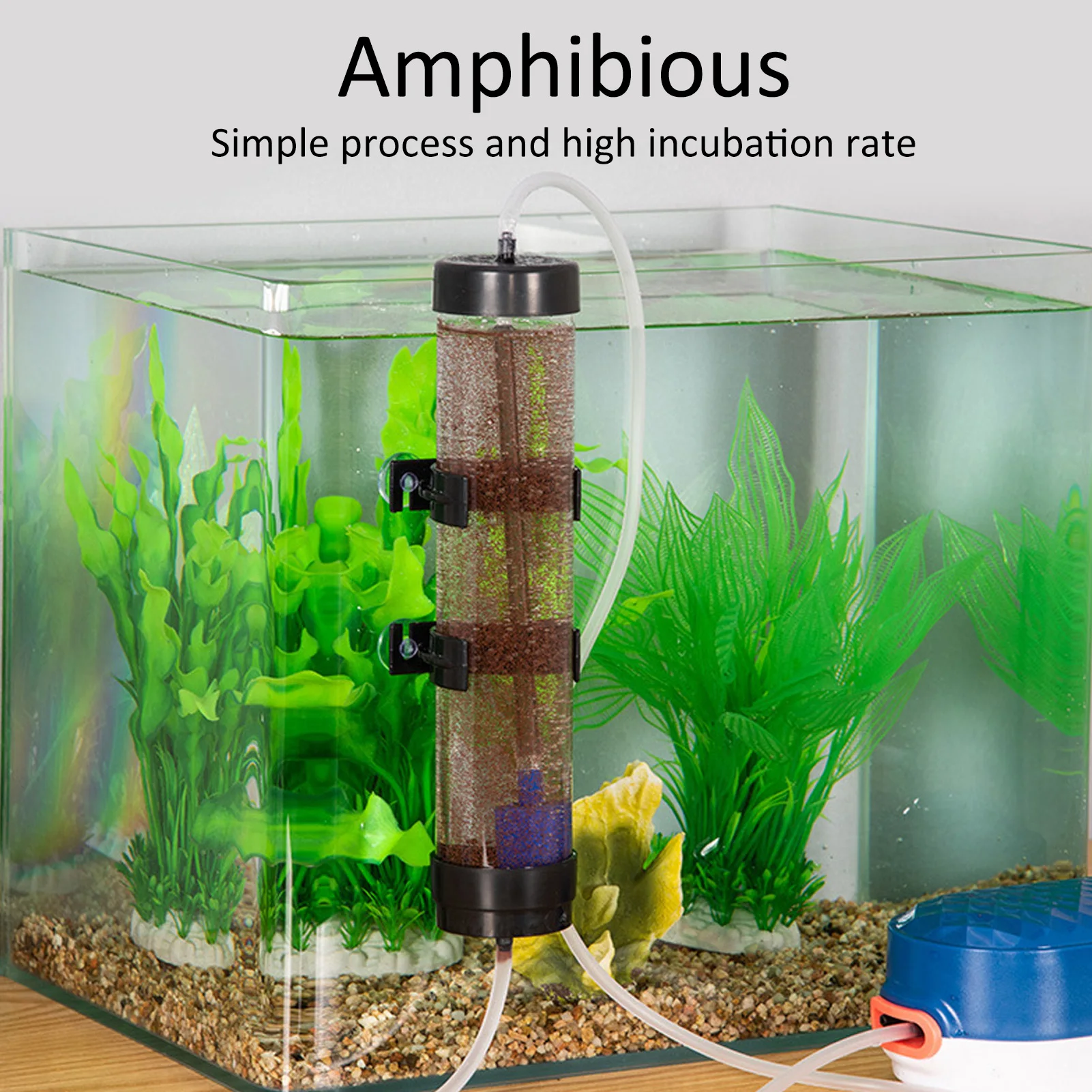 Fish  Hatch Tool Artemia Eggs Hatchery Kit Prawn Incubator Shrimp Eggs Incubator Hatchery Kit Aquarium Fish  Hatch Tool