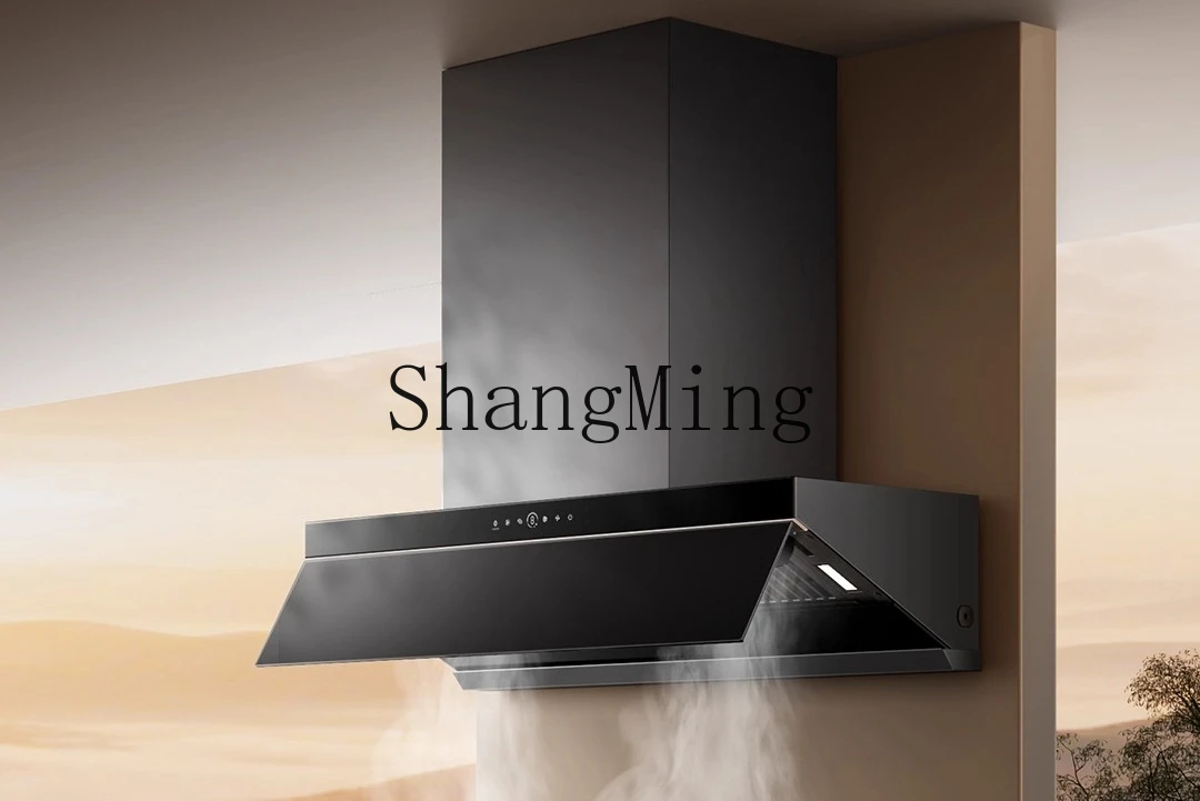 ZYY household steam washing range hood AK9pro household kitchen upgrade