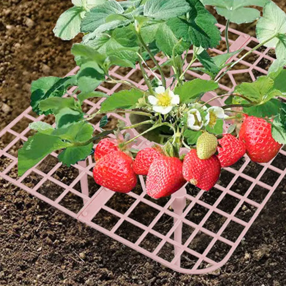 

6Pcs Strawberry Holder Plastic Plant Climbing Bracket for Garden Strawberries Growing Racks Supports Stand Trellis Frame