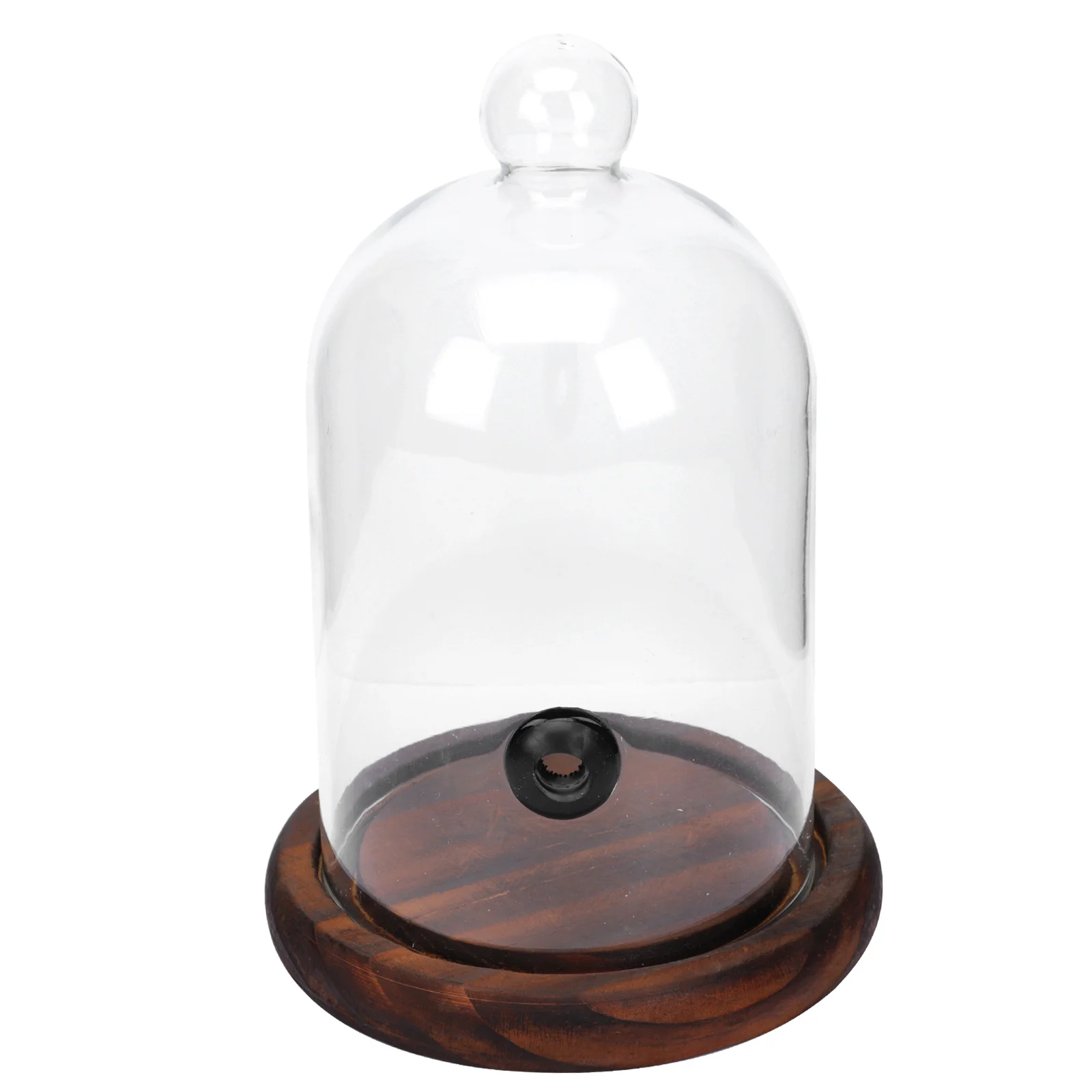 

Glass Hood Food Western Cuisine Cover Snack Cocktail Smoke Lid Dessert Father Smoking
