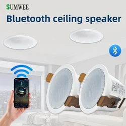 2 Inch mini home audio audience Bluetooth Ceiling Speaker Stereo sound Indoor music speakers Built In Digital Class D Amplifier