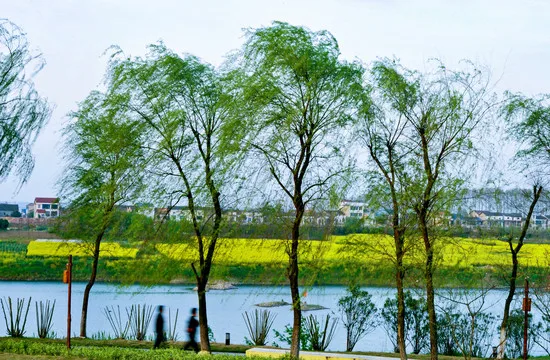 

Комплект из 4 металлических колес с бедлоками 1.0 дюйма для радиоуправляемых краулеров 1/18 (TRX4M, SCX24), запчасти и аксессуары для тюнинга