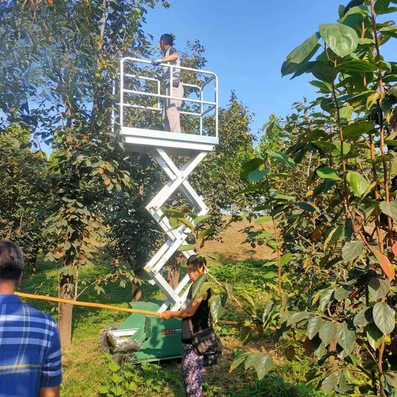 Portable lift, orchard picker, fungus culture picker