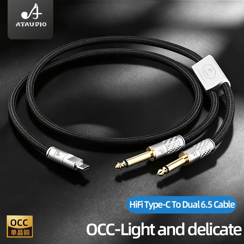 ATAUDIO HiFi USB Type C to Dual 6.5mm Mono Audio Y Splitter Cable OCC Core Gold Plated Plug for Phone Speaker