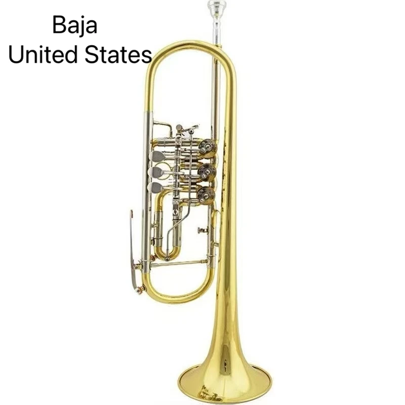 

Американская пикколо-труба Bach B-flat, модель TR-8000S, позолоченная, с клавиатурой B-flat, отличное профессиональное качество звука.