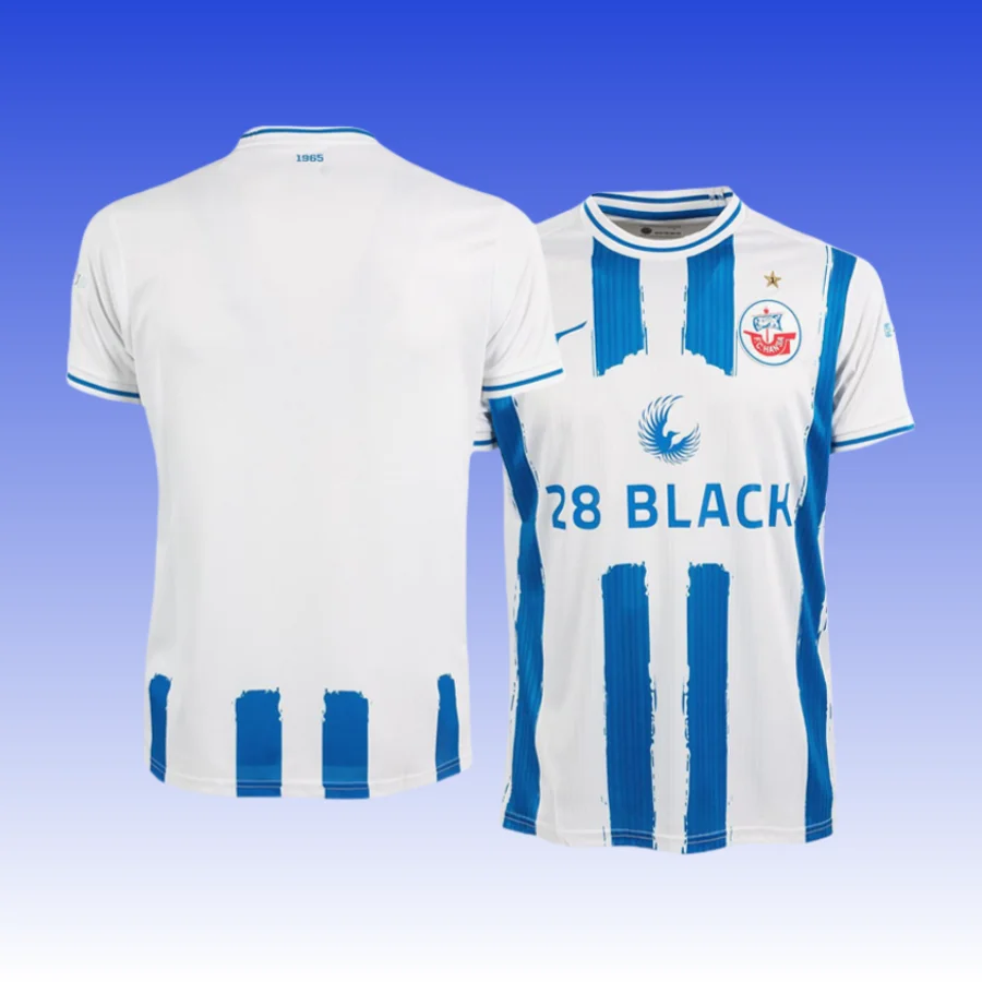 Ropa de ejercicio de entrenamiento para hombre y mujer, Jersey de Hansa Rostock, transpirable, de secado rápido, informal, para deportes de motor, verano