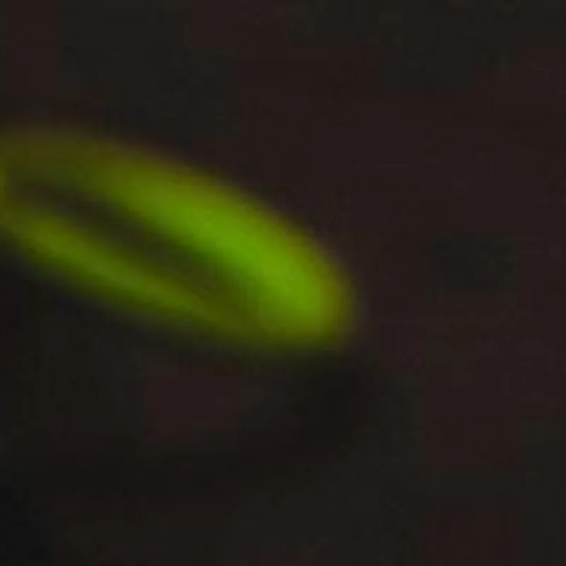 

Green Pomelo Leaf Plush Pendant Car Keyring For Dispelling Bad Luck Home Bedroom Decoration Backpack Charms Birthday Gift