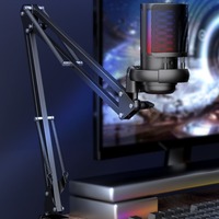 RGB Light USB Microphone with Arm Stand Condenser Articulated Suspension Stand USB Microphone Noise Reduction Colorful