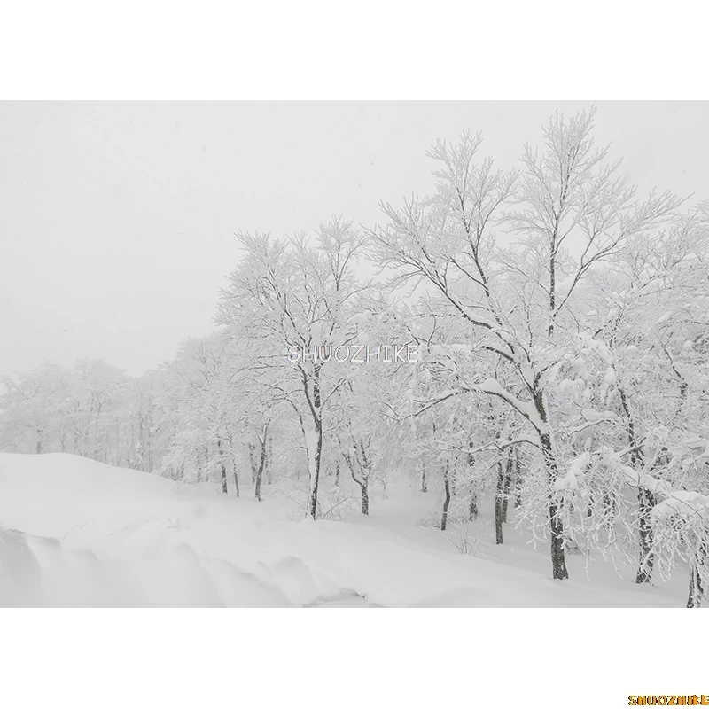 SHUOZHIKE Thin Cloth Photography Backdrops Prop Snow scene Photography Background  2021112XJ-06