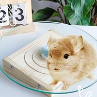 Hamster Wheel Spinner Quiet Smoothly Running Turntable Toy Silent Running Wheel for Hedgehog Mice Small Animals Mouse Training