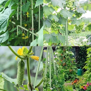 أفضل 10 مبيعات لتسلق الأشجار - رقم 10