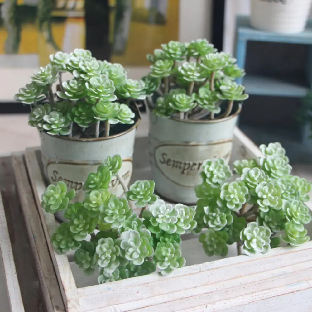 Simulation Succulent  Beautiful Micro Landscape Succulent Greenery Potted Plants  Plastic Imitation Plants