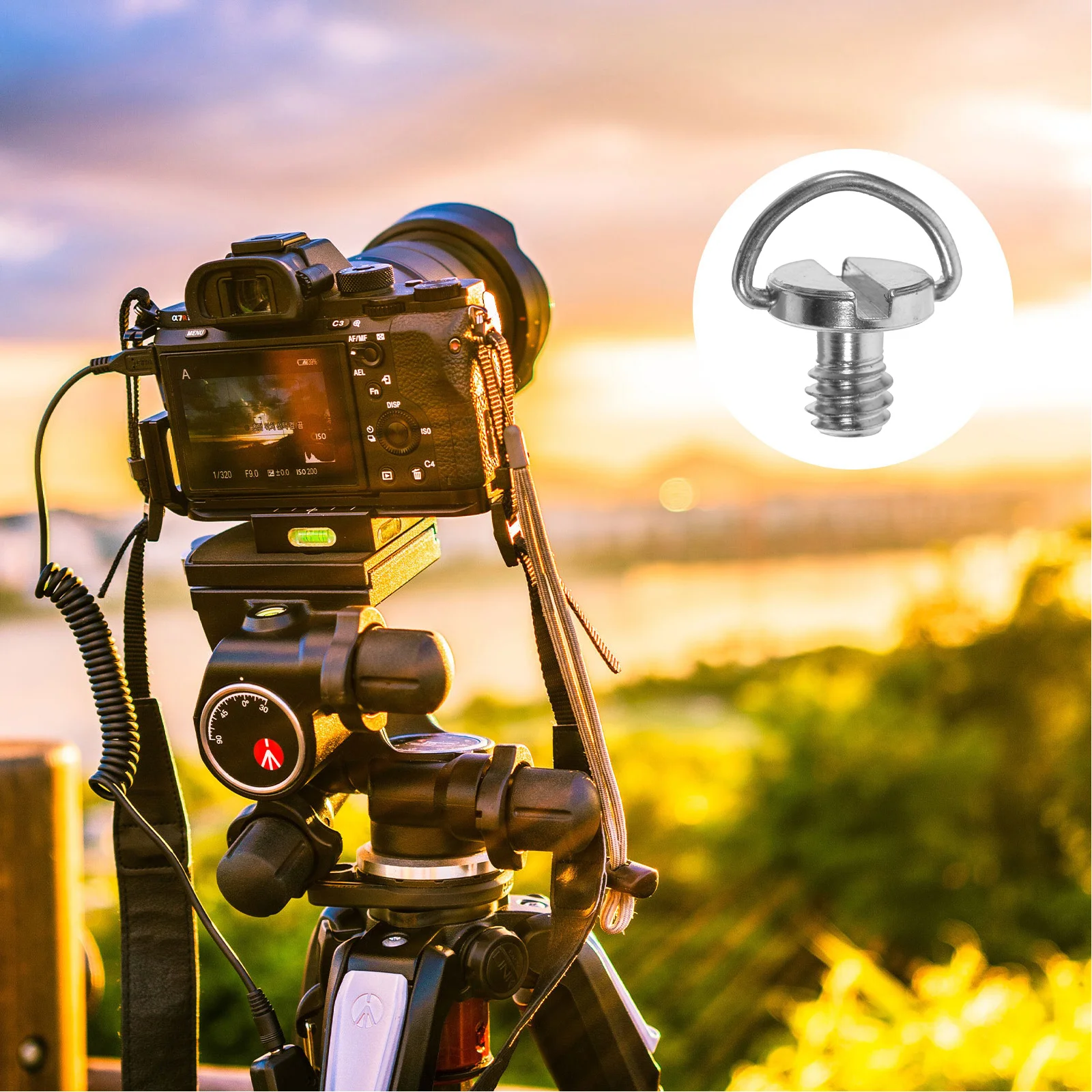 

5Pcs Tripod Screw D Ring Camera Mount Screw Nickel Plated Corrosion Resistant Easy Fix Release Ring Camera Screws