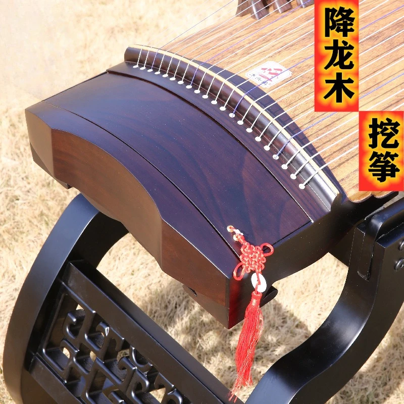 Professional playing Guzheng, classical plucked musical instrument