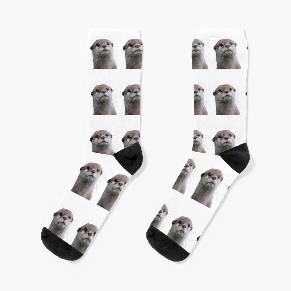 

Just A Cute Otter Socks happy winter thermal sports stockings anime Men's Socks Women's